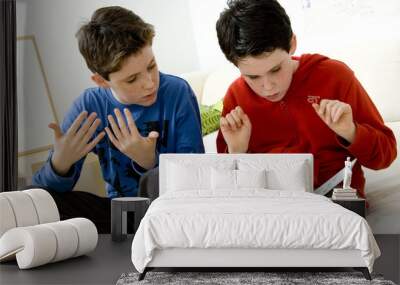 Models Do not use for HIV A young hearing-impaired boy and his brother using the French sign language with the aid of a book The French sign language uses signs to designate words but also dactylology (each letter of the alphabet is represented by a defined position of the fingers then enabling to spell a word) and the lip reading The young boys designate the word \to finish and to be able to\ Wall mural